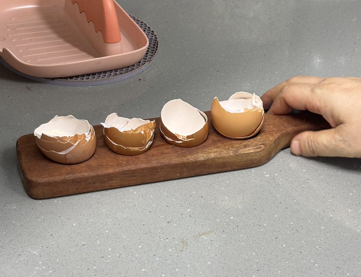 썬햄이 tweet media