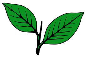 itzproudloser's tweet image. AIADMK holding the following seats since 2001 elections.

1)Avinashi
2)Gobichettipalayam 
3)Kinathukadavu
4)Mettupalayam
5)Palacode
6)Palladam
7)Perundurai 
8)Pollachi 
9)Udumalpet 

#AIADMK #TNElection2026 #MLA