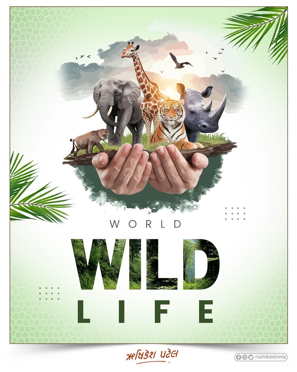 On World Wildlife Day, let’s celebrate the beauty of nature and renew our commitment to protecting the wild species that keep our planet in balance.

#worldwildlifeday