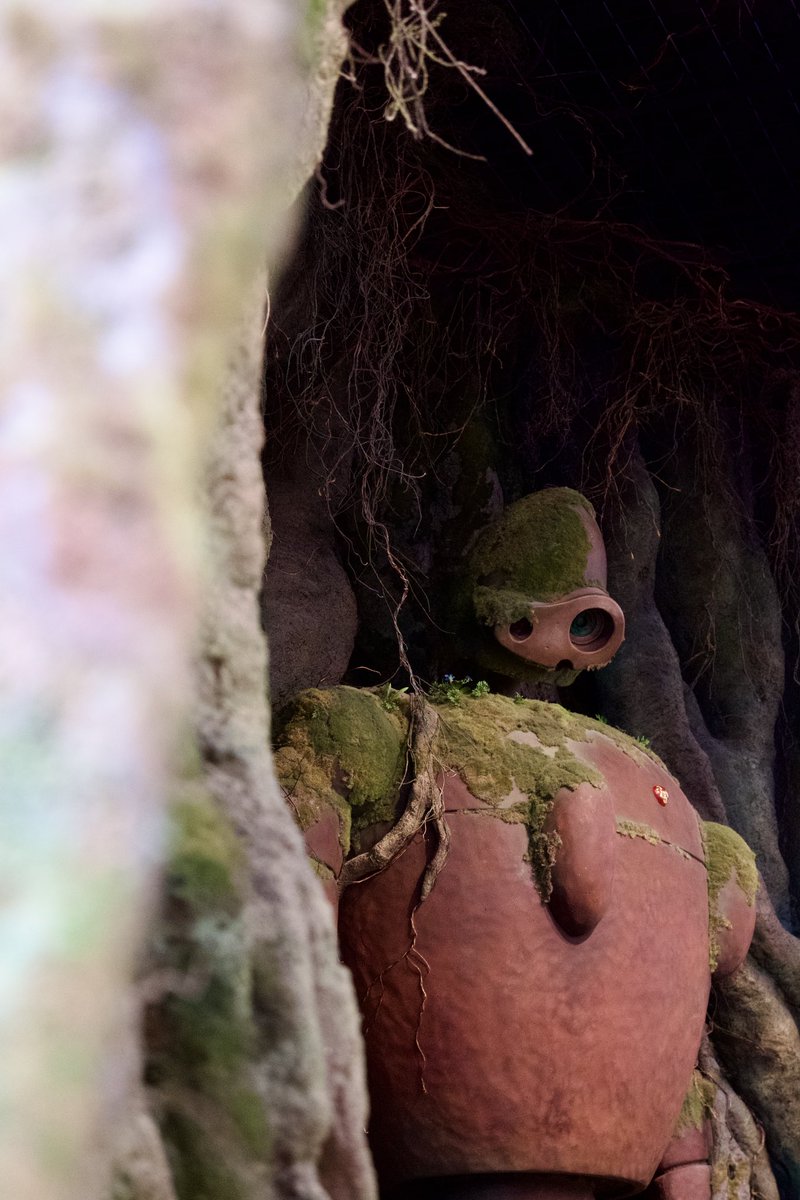 Reve@取引垢 tweet media