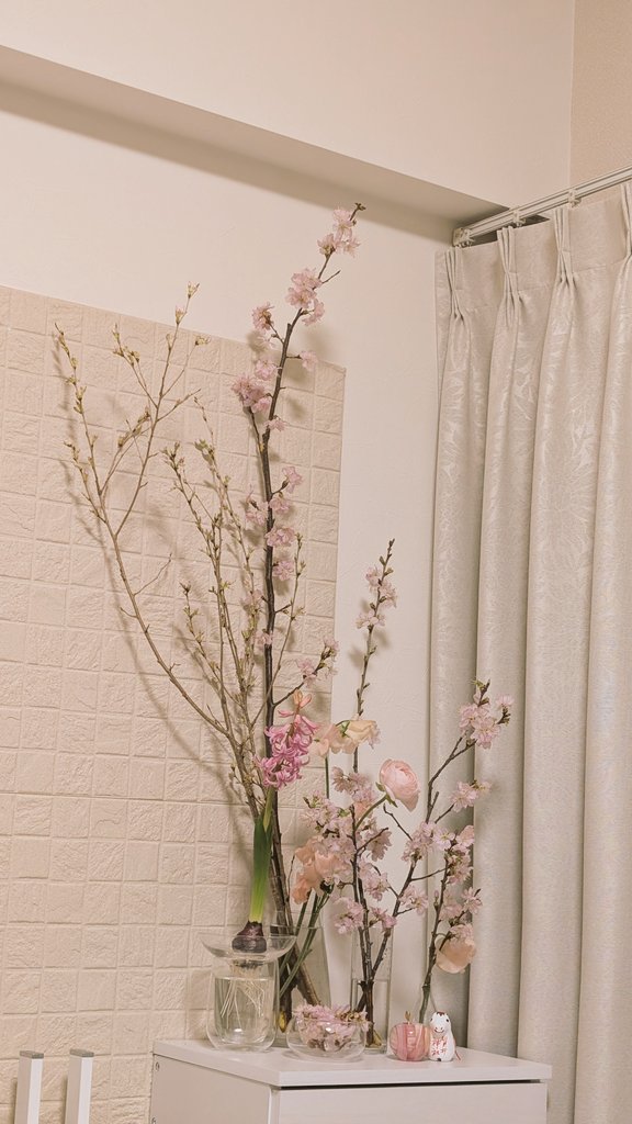 0585_k_'s tweet photo. 🌸 https://t.co/Li5QAJFB0p