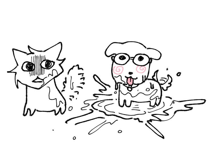 🎄김책함❄️ tweet media