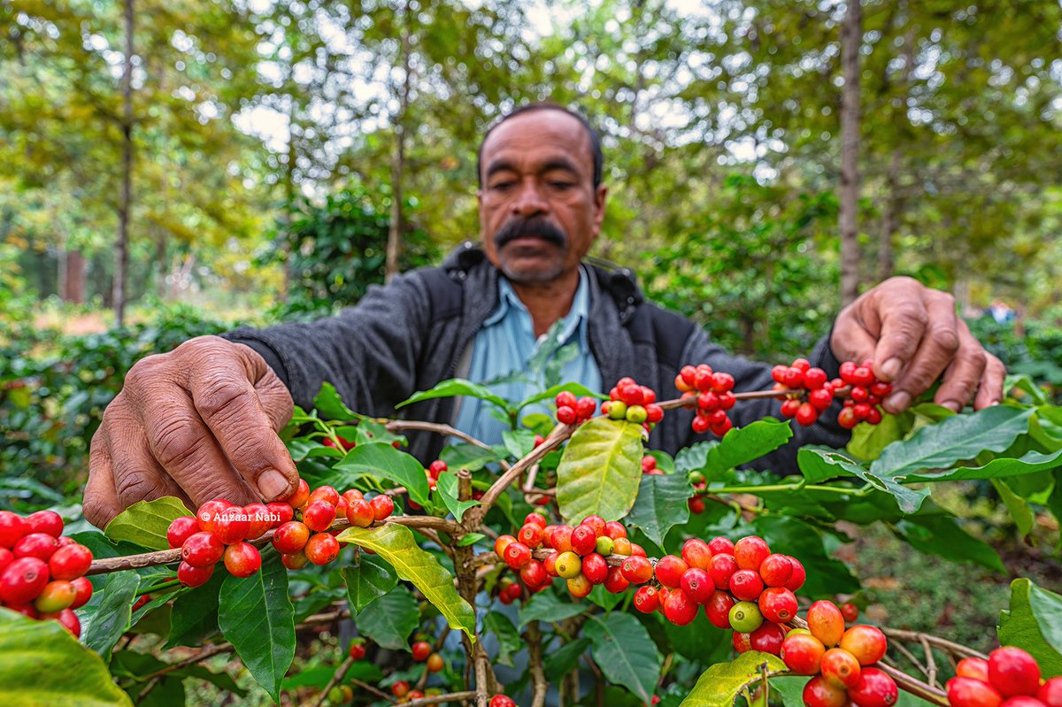 Anzaar Nabi tweet media