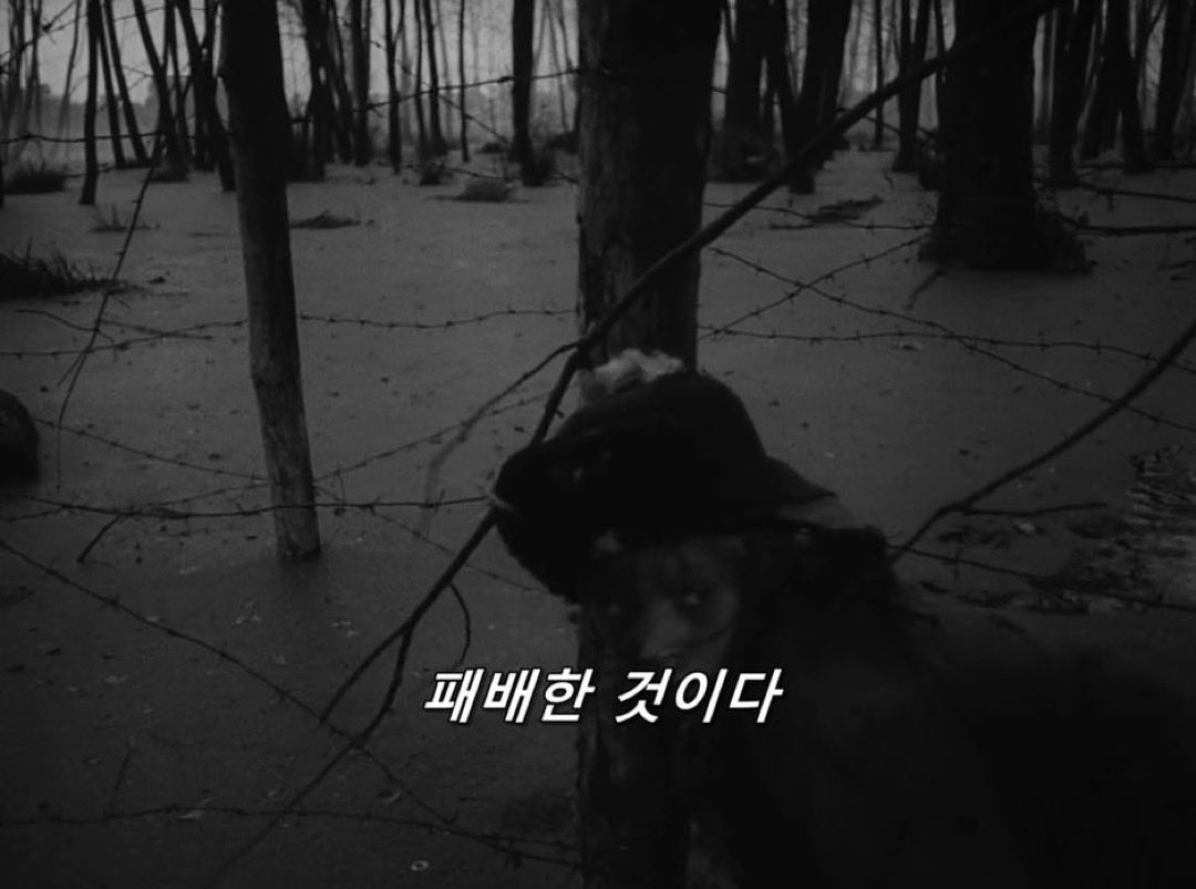 영화속거울 tweet media