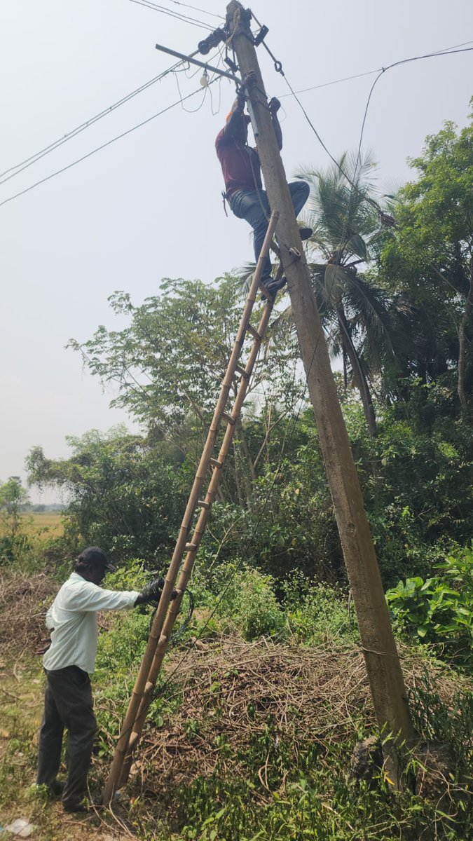 IEEE India Philanthropy tweet media