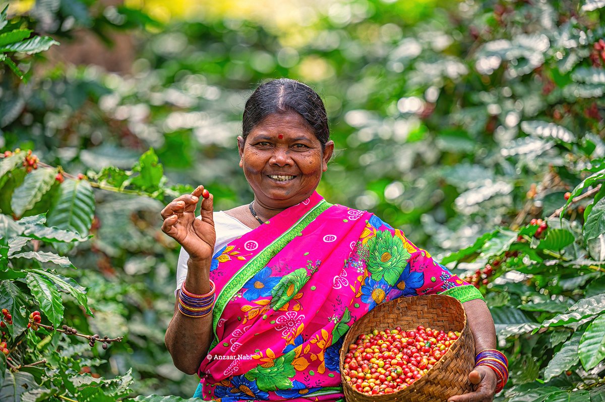 Anzaar Nabi tweet media