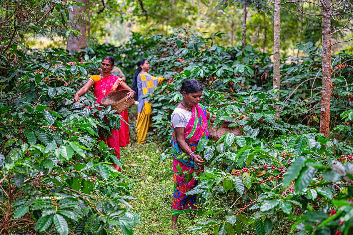 Anzaar Nabi tweet media