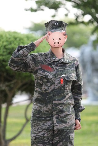 디노섭 tweet media