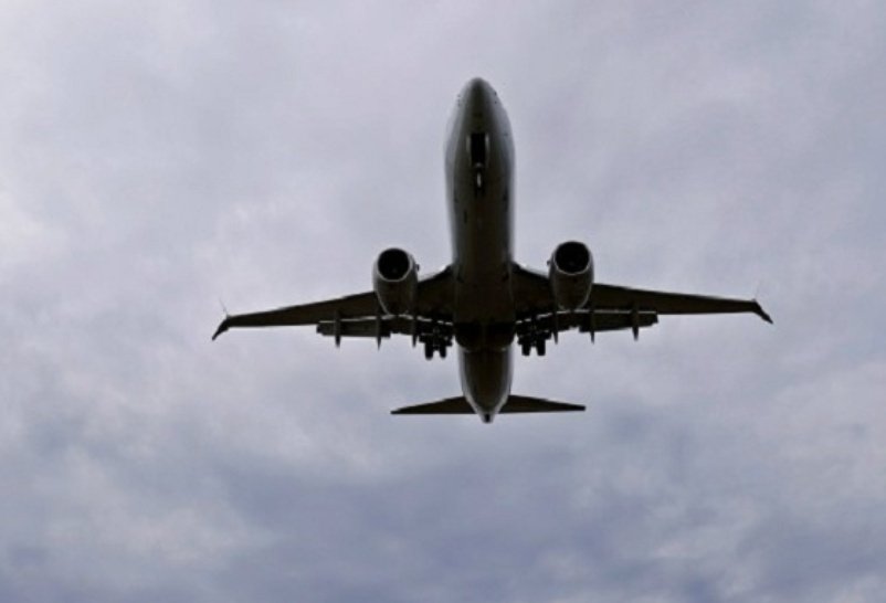 Jayed-Leigh Paulse tweet media