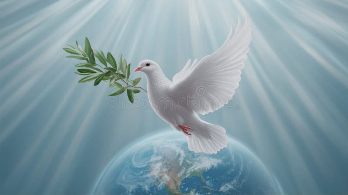 Amsterdamm80734's tweet photo. $PEACE the OG 🕊️☮️

J5XxXQueFp1Har8GYa69N8Jw9yAG6r9VKujhAFaTpump

和平+健康=財富

It will end and there will be peace

🕊️☮️👀🔒🫶🏻 https://t.co/35EiVzOss2