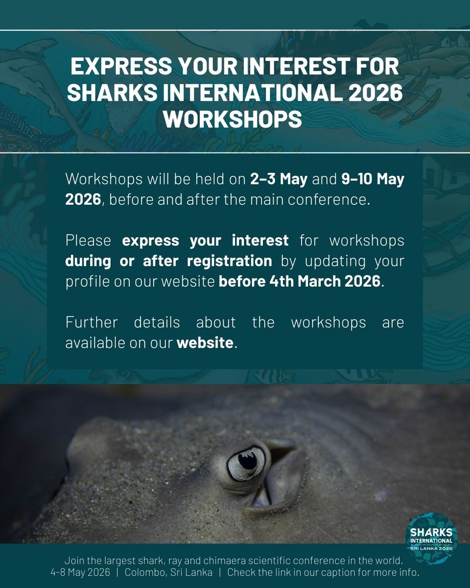 Sharks International 2026 tweet media