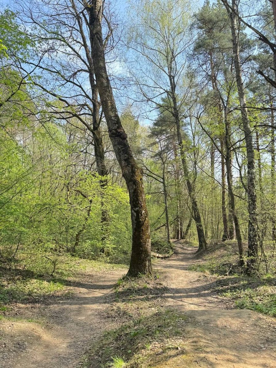 🌺SVETLANA☀ tweet media