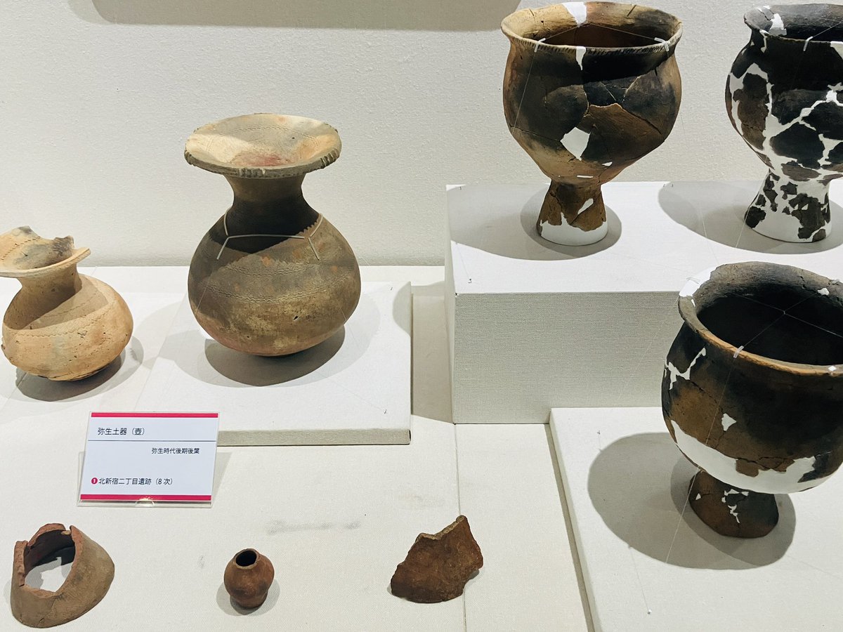 HnOJrOp45t96641 そうなんですよ！新宿、縄文強いんだ！となりました