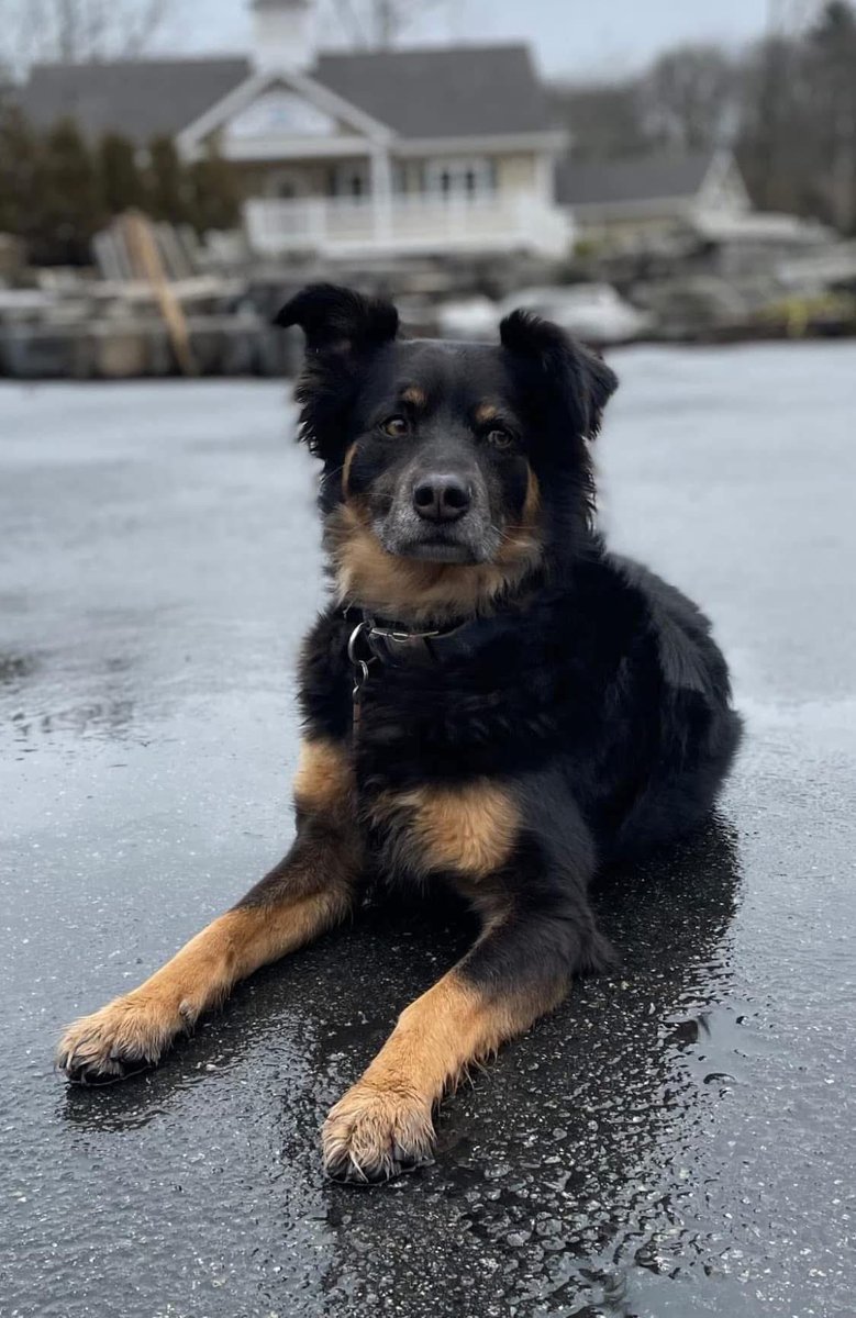 OLDENEGRANITE's tweet image. Get a jump on your spring projects with reclaimed granite at Olde New England Granite in Wilmington, MA! Mason and our team look forward to your visit or give us a call at 781-334-4805 for more information.
oldenewenglandgranite.com

#GraniteSuperstore #Antiquegranite