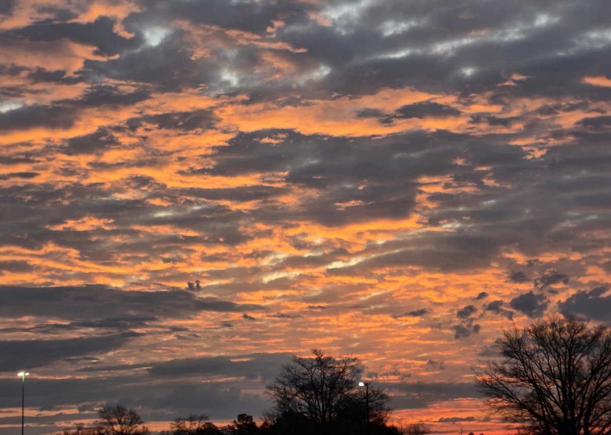 Jimmy Sarris tweet media