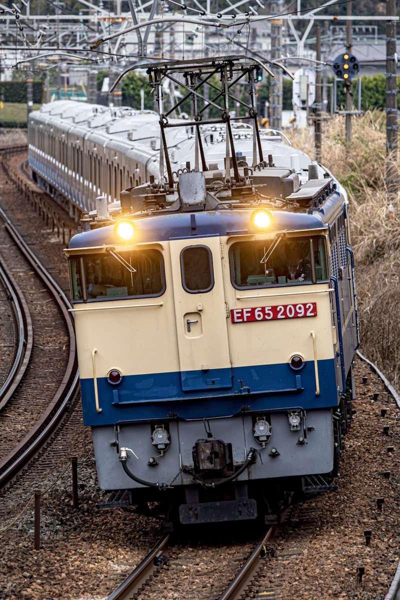 きくらげ (@kawahiyo6330) / Posts / X