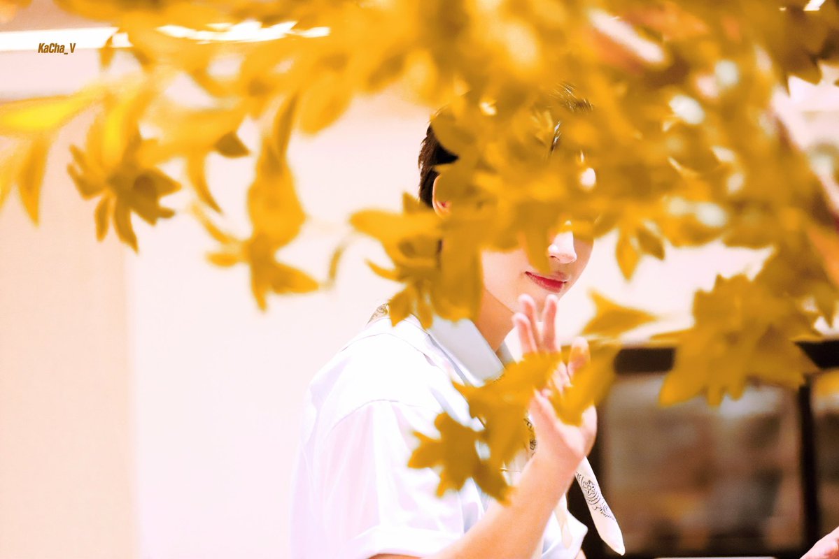 KA_V카카 (@mengtliu) on Twitter photo 