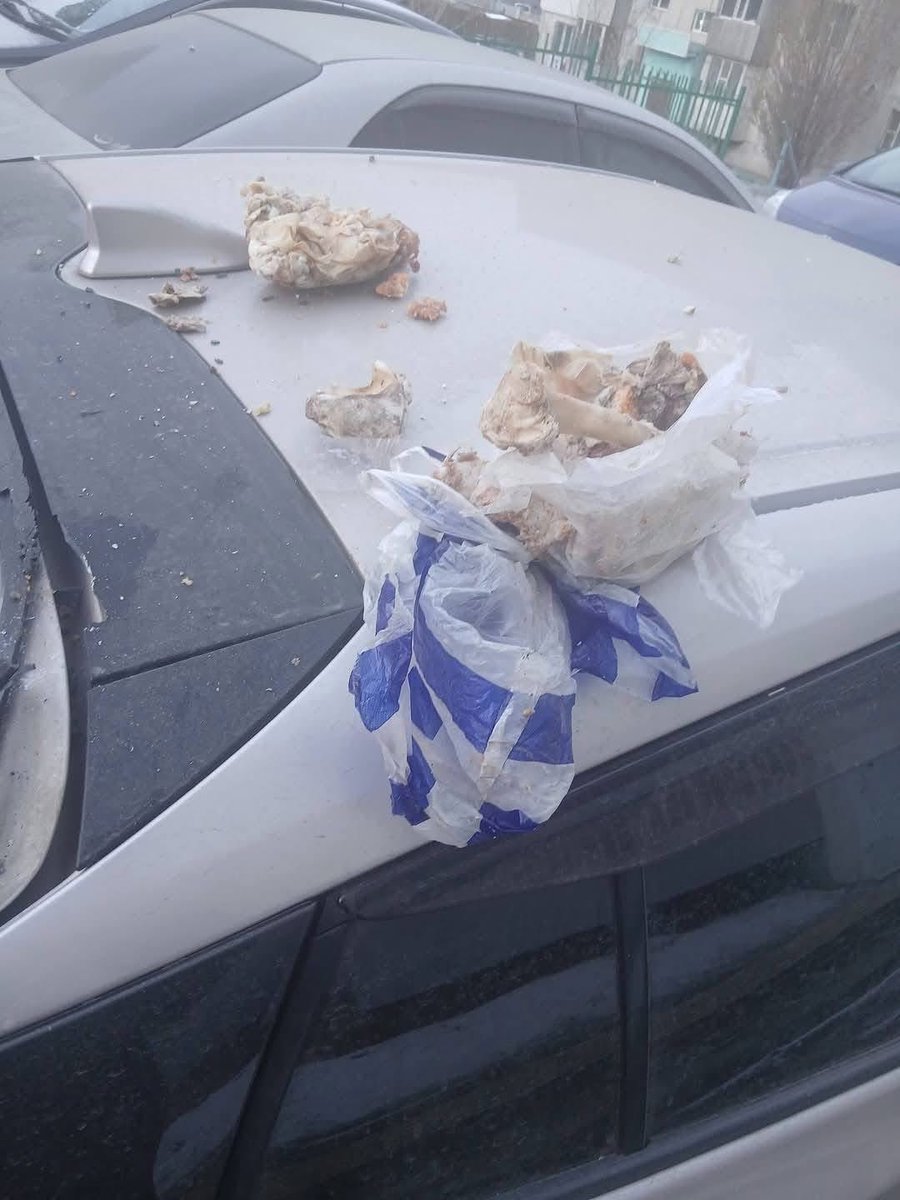 Улсын Их Жиргээч 🇲🇳 tweet media