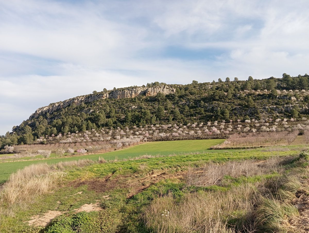 Lo de drones en Chipre y Grecia,,,llevan el nombre de Irán???
Estamos 🤪
Nos creemos que los 🐑vuelan😂