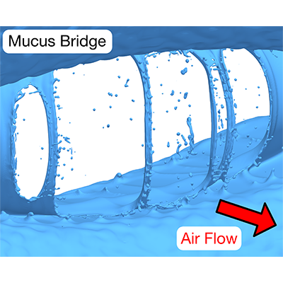 Physical Review Fluids tweet media