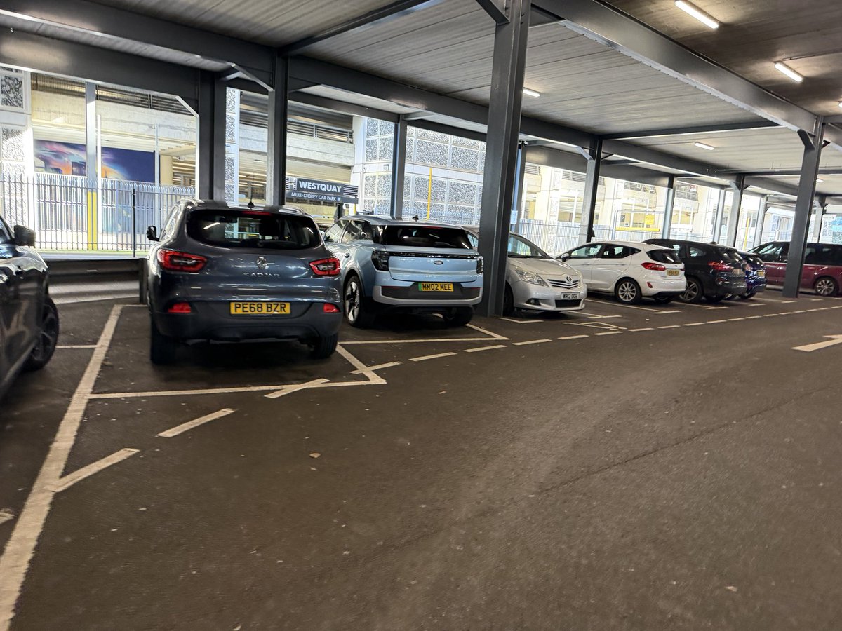 Steve Shaw tweet media