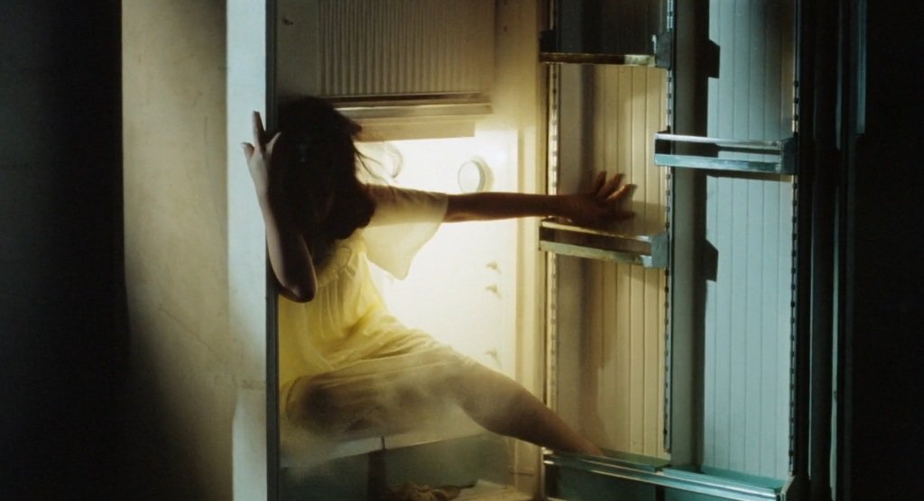 lucas from the bookshop tweet media