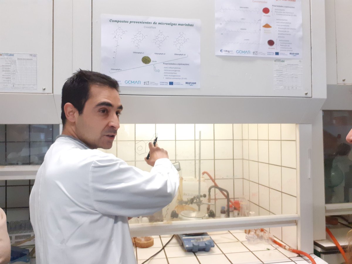beap_mar's tweet photo. Last week OrgMedChem Group hosted a group of high school students.

Students explored the biological potential of algae and their diverse applications in food, cosmetics, and pharmaceuticals.

We are proud to support initiatives that connect students with marine science. https://t.co/zceRmJqCcM