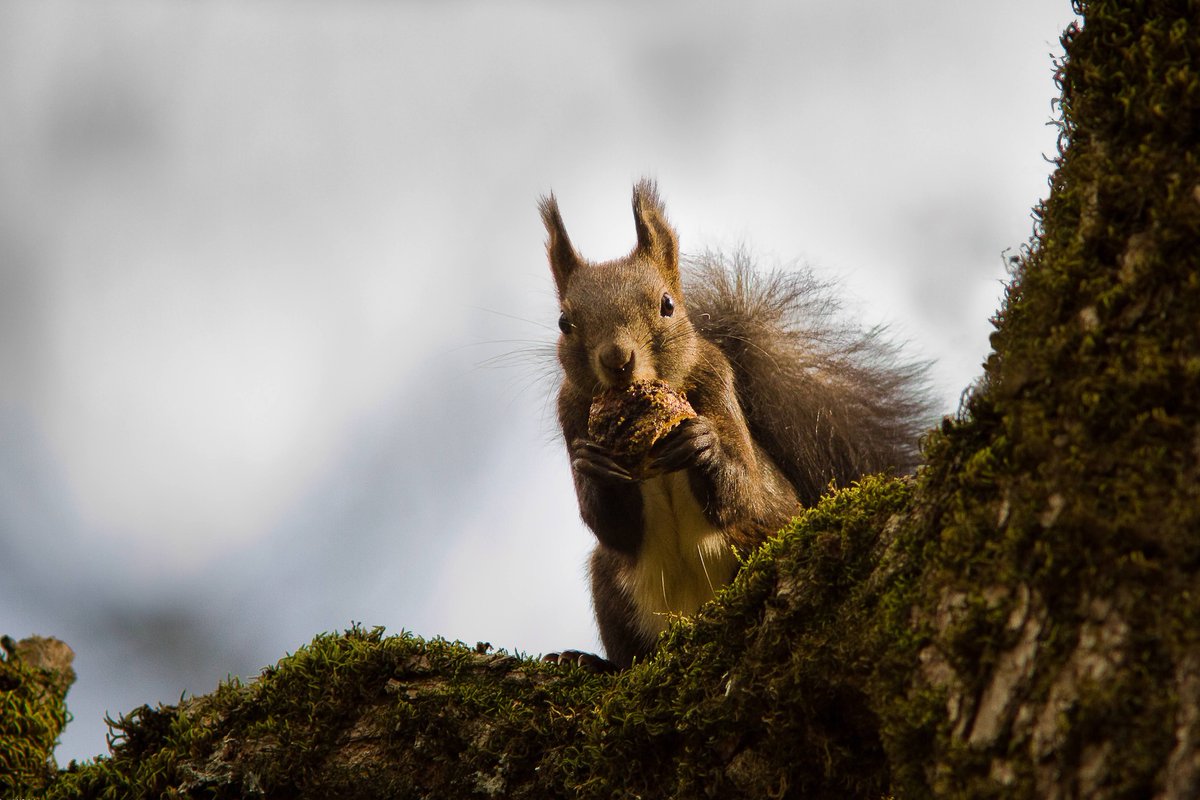 Plitvice Lakes National Park tweet media