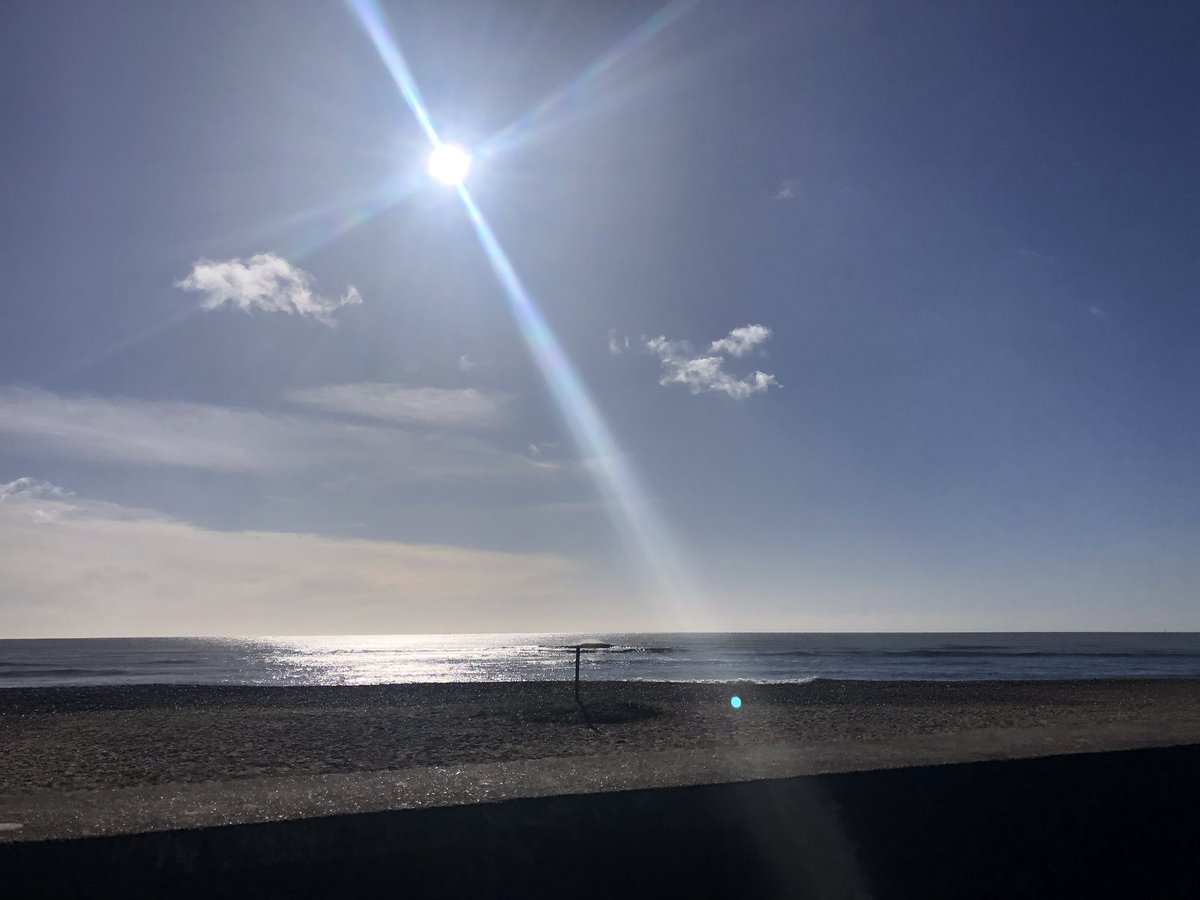 Does this mean Spring is finally arriving?🙏☀️