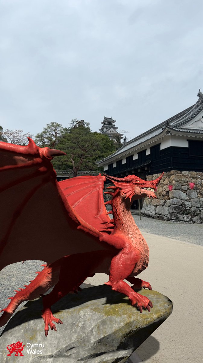 sipan_cymru's tweet photo. 高知城✖️ウェールズ🏴
#RandomActsofWelshness https://t.co/YiG6WG7bo0