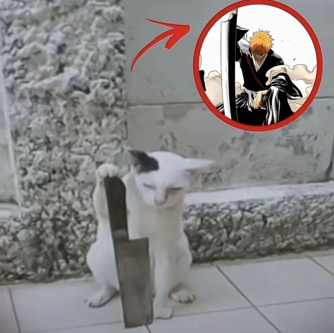 @demon slayer ## (@nezukovibes_) on Twitter photo 