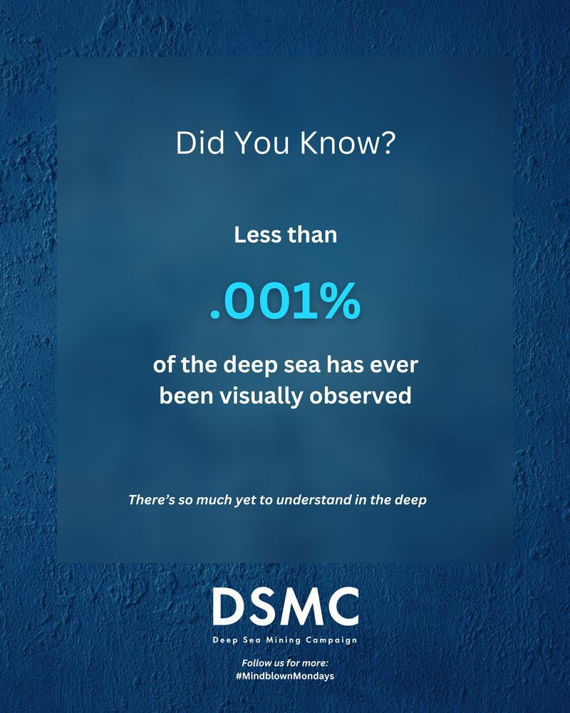 Deep Sea Mining Campaign tweet media
