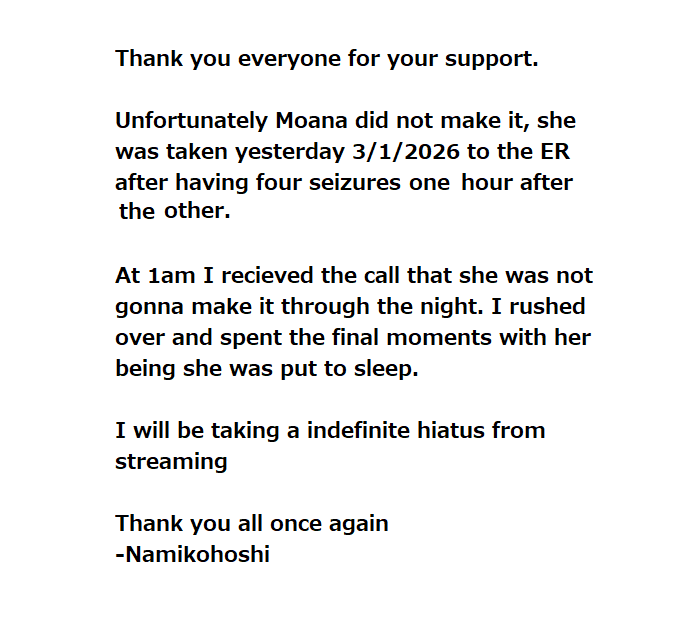 NamikoHoshi- vtuber ⭐️💕 (Indefinite Hiatus) tweet media