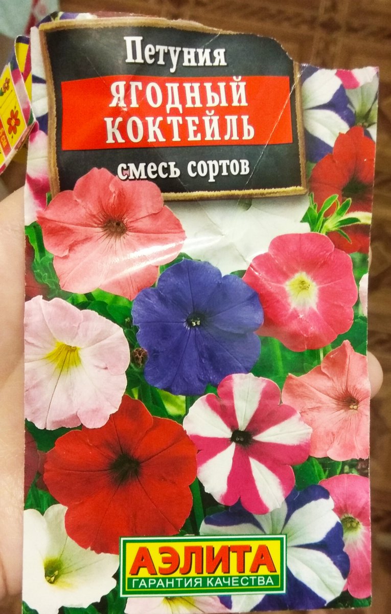 Saturn Ra 💖 tweet media