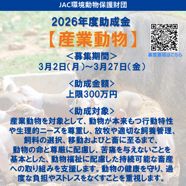 JAC_foundation's tweet photo. ＜2026年度助成募集【産業動物】受付開始のお知らせ＞

公益財団法人JAC環境動物保護財団では、2026年度助成選考 【産業動物】の募集を、3月2日（月）より開始いたしました。
募集要項をご確認のうえ、ぜひご応募ください。

▼募集要項はこちらから https://t.co/aIRlw87Zy2 https://t.co/BF6AiDYjLB
