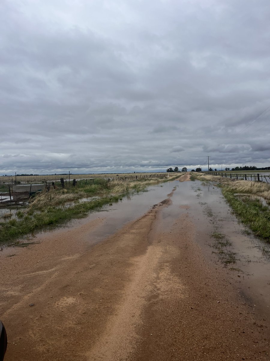 Kate Burke tweet media