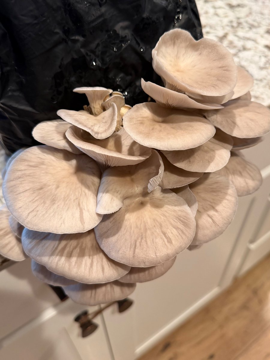 Matt Durrant tweet media