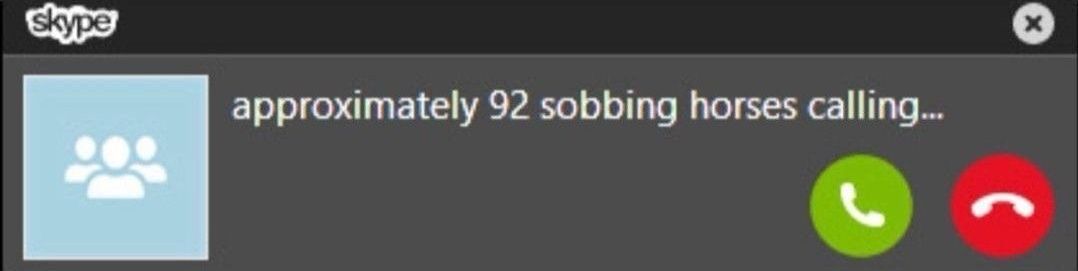 horse dentist tweet media