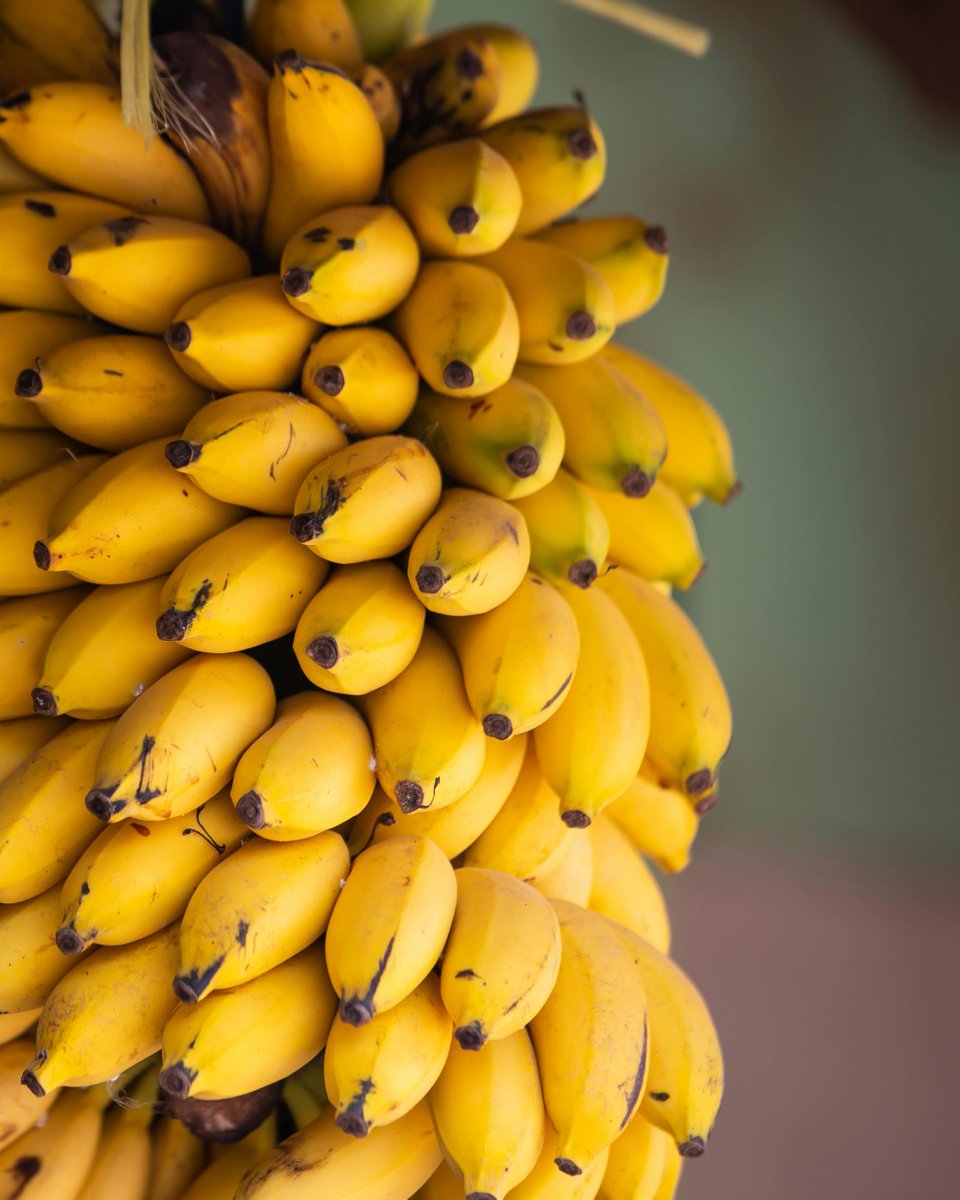 Dr. Kasenene tweet media