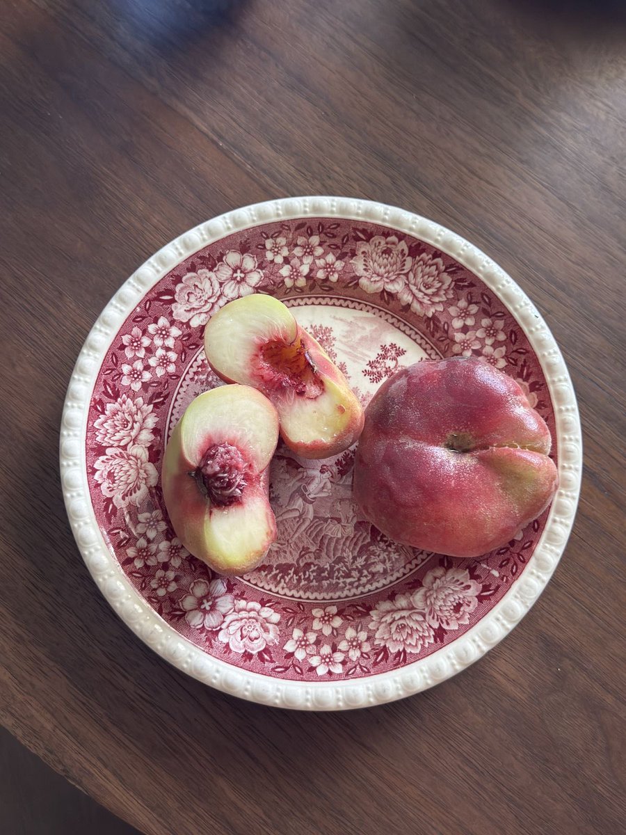lavenderderya's tweet photo. fruit bowls https://t.co/gCjOW8rQt0