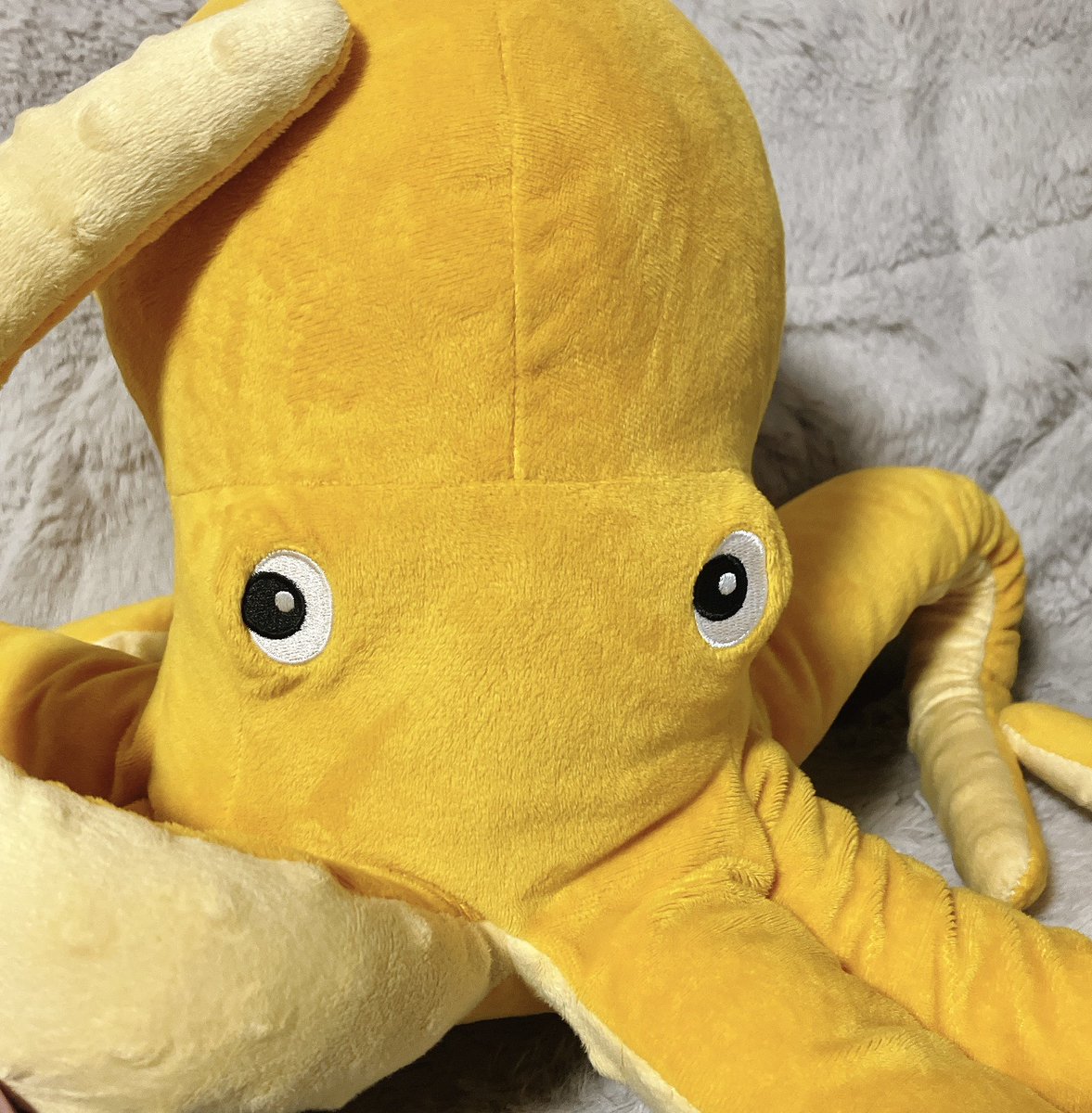 帰宅っ！ 新大阪を出て4時間で着いた！ タコすけただいまー🐙