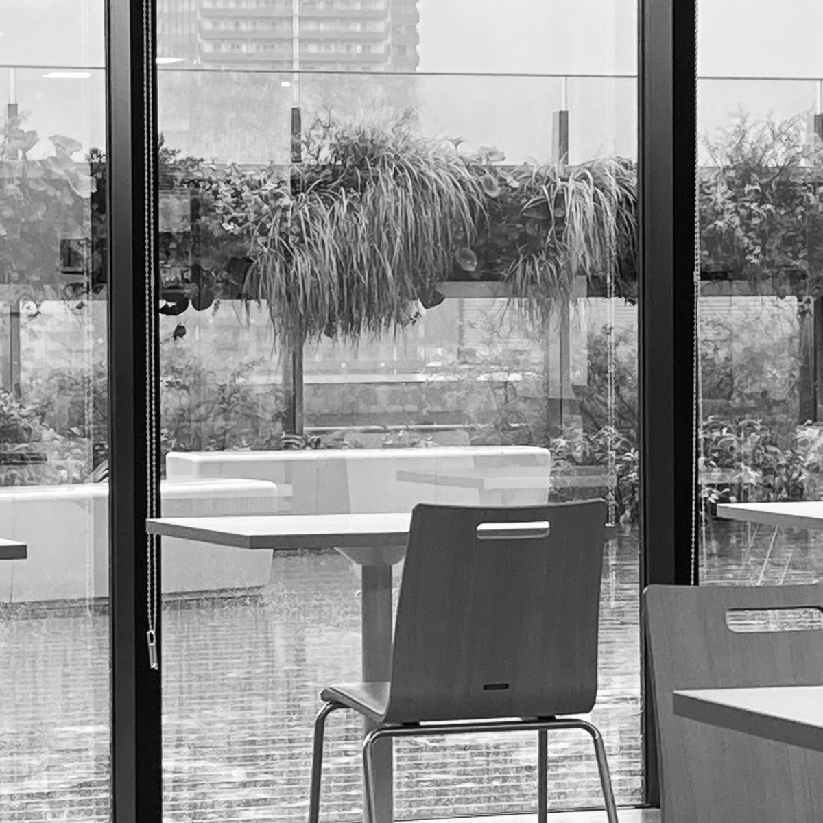 二百五十）3/2
おいたわし　すりきれとんぼ　きのみまま　
きのままきまま　どこがすりきれ
#狂歌 
#ノ弥尽音