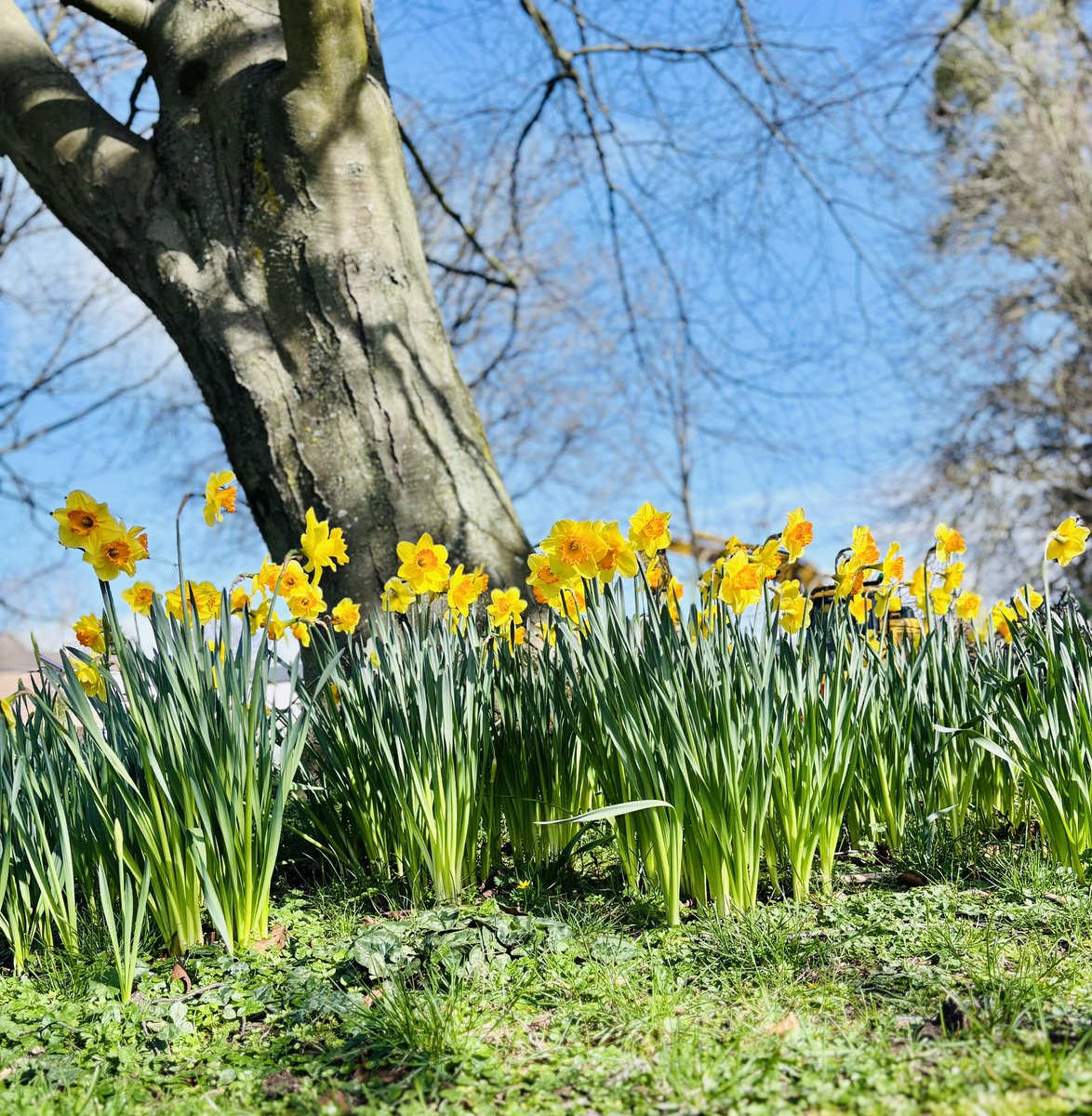 Ms Rebecca Merry tweet media