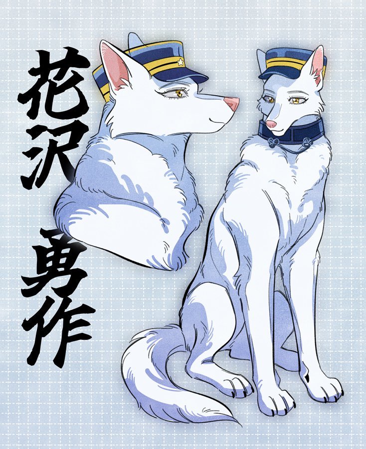 ホワシェパ勇作さん🐶再掲 
