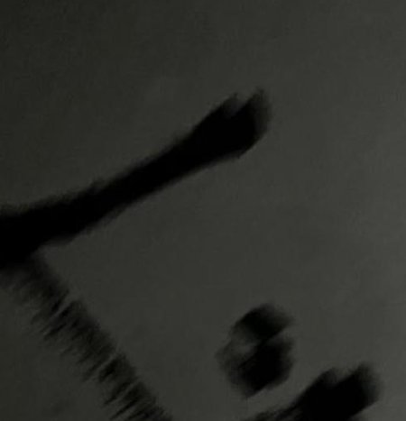 GGuy313's tweet photo. 恋人はどっち？ 🥴 https://t.co/TAePhln8NZ
