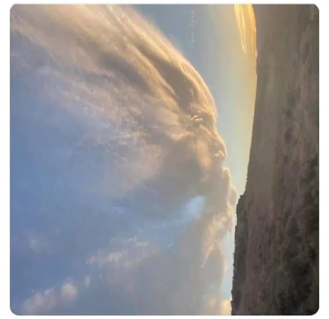 Hey humans.....
Stop fighting!
#MalMaandag