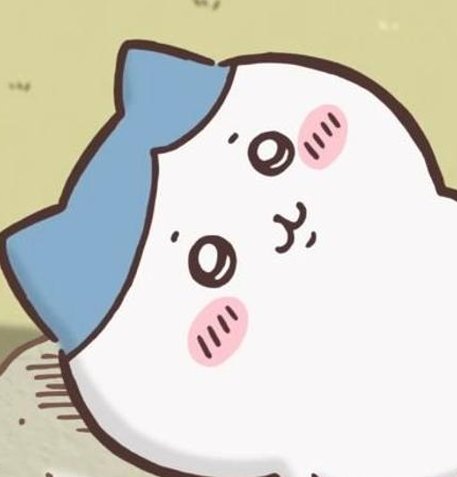 Gabi Yankelevich, DO tweet media