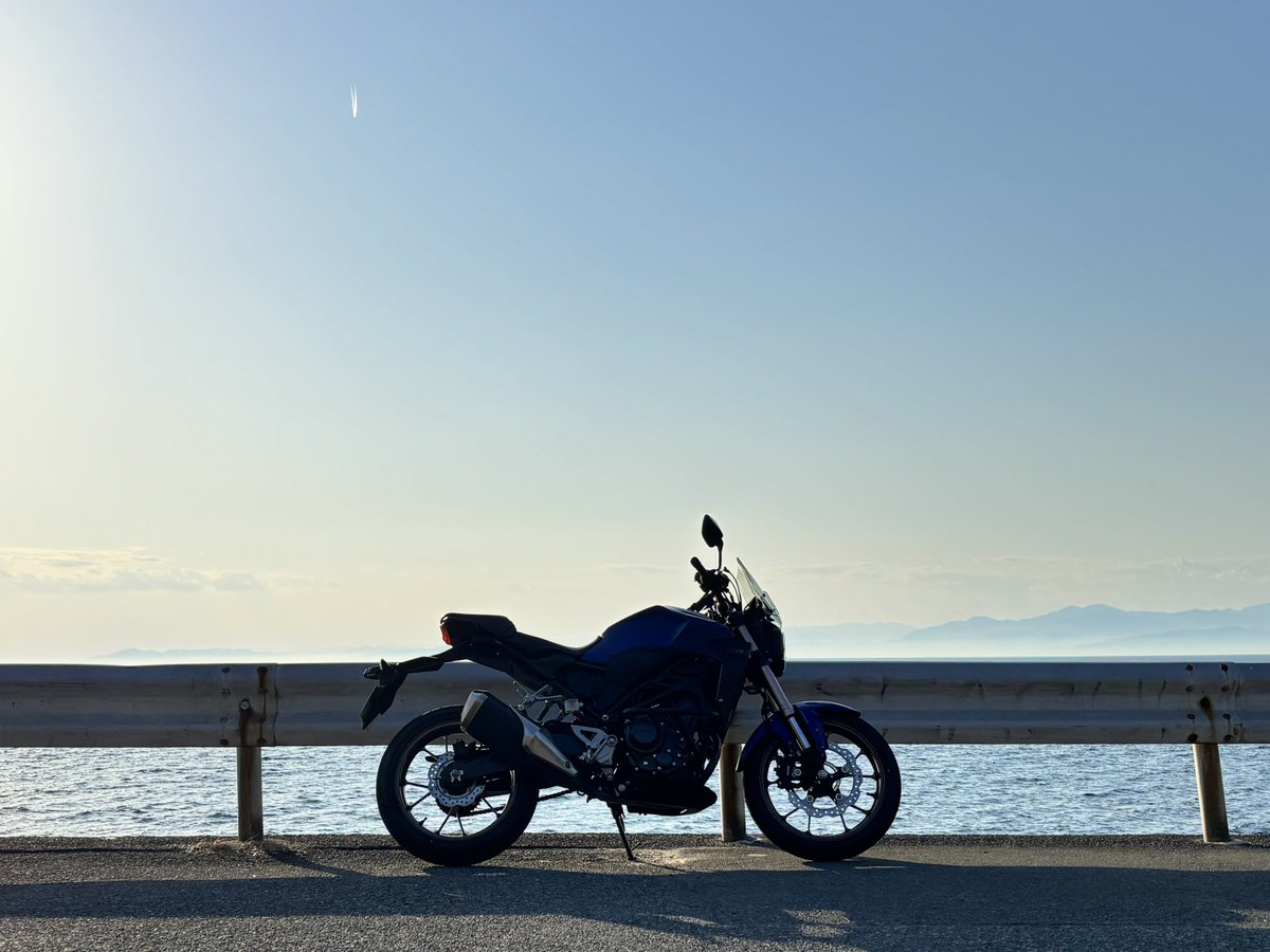 ゆめちん tweet media