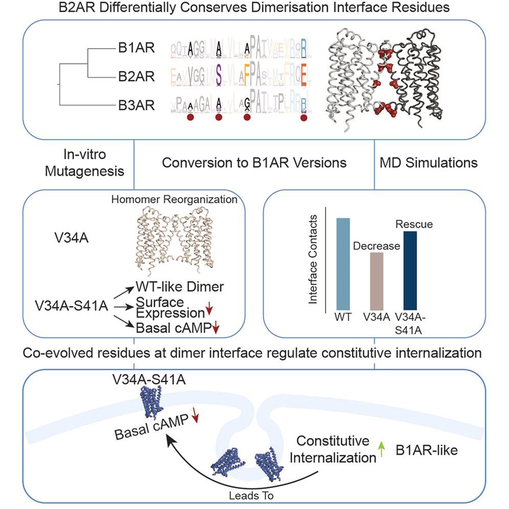 Ogün Adebali tweet media