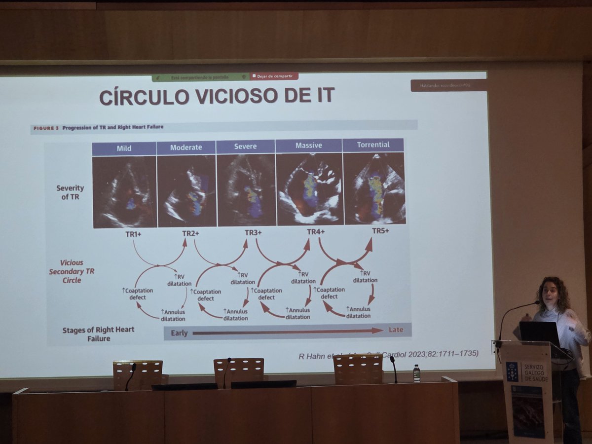 rafavidalperez tweet media